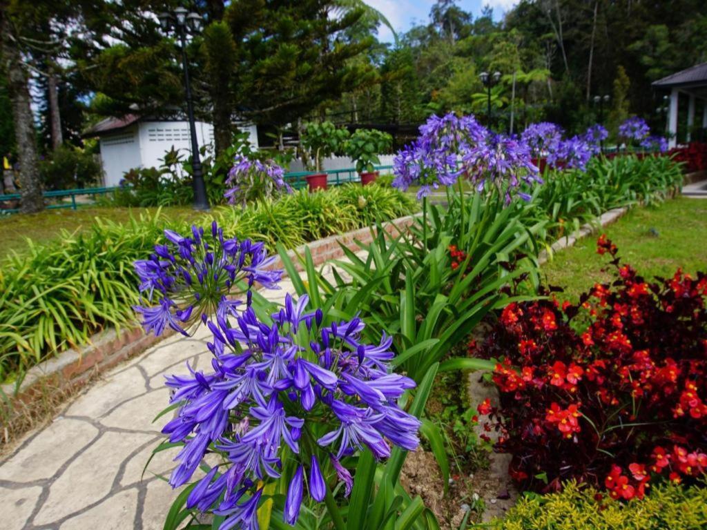 Camlodge Budget Hotel Cameron Highlands Dış mekan fotoğraf