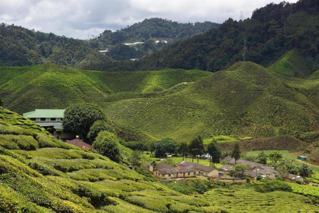 Camlodge Budget Hotel Cameron Highlands Dış mekan fotoğraf