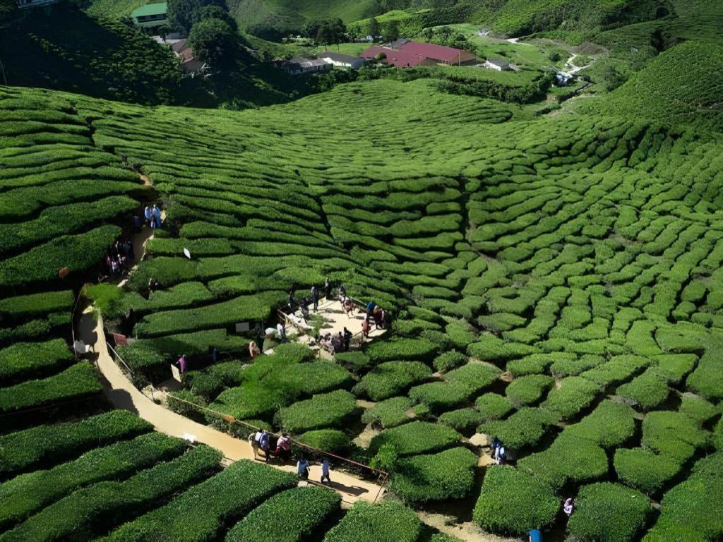 Camlodge Budget Hotel Cameron Highlands Dış mekan fotoğraf